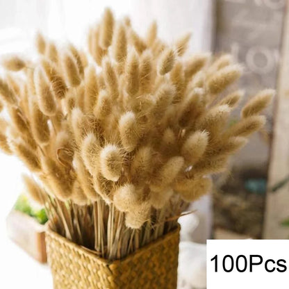 Ramo de flores secas de pampas naturales y colas de conejo – Decoración bohemia
