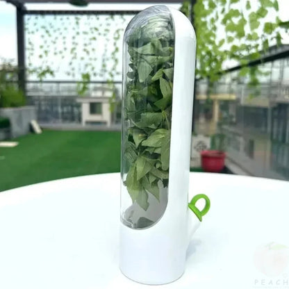 FreshSeal Greens Keeper – Dust-Proof Eco Storage Box