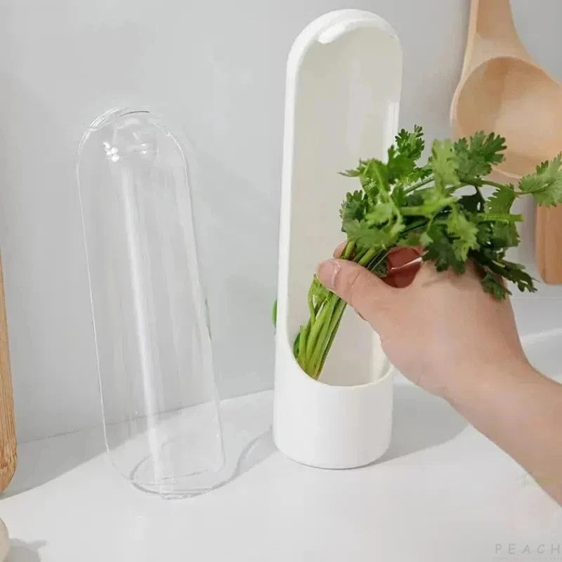 FreshSeal Greens Keeper – Dust-Proof Eco Storage Box